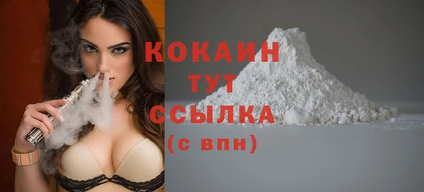 шишки Лагань