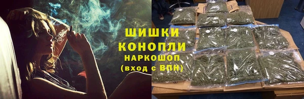 прущие крисы Абаза