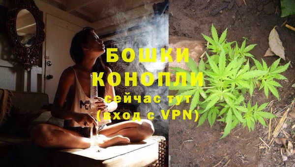 шишки Лагань