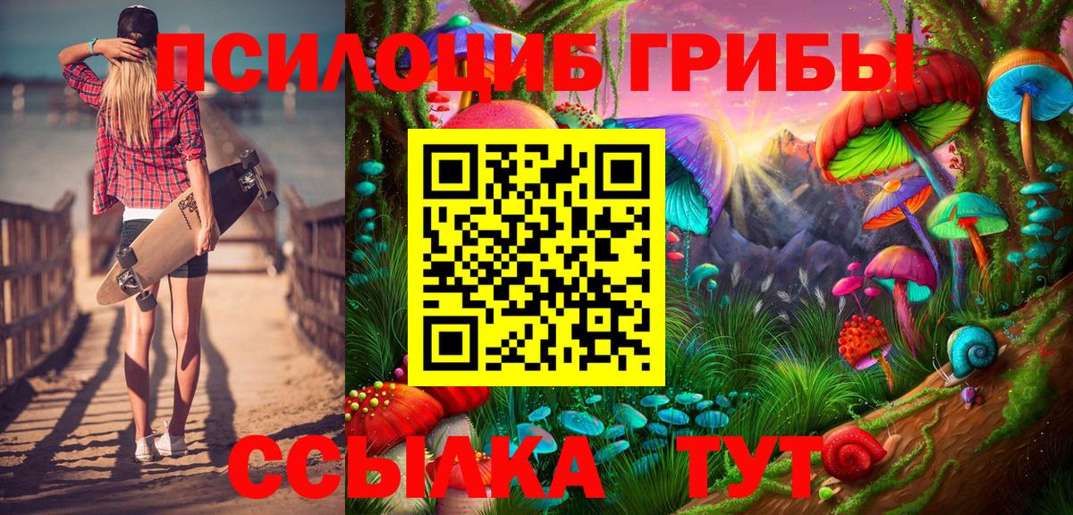 Галлюциногенные грибы прущие грибы Сургут