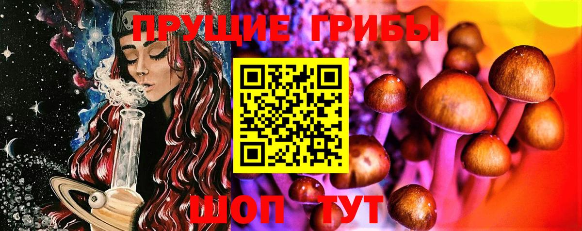 Сургут  Псилоцибиновые грибы Psilocybine cubensis  Вход с VPN 